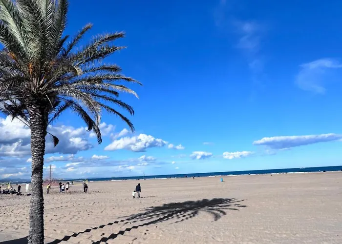 Privada Con Bano Privado I Valencia